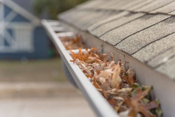 Leaf Barrier Installation in Clarksville